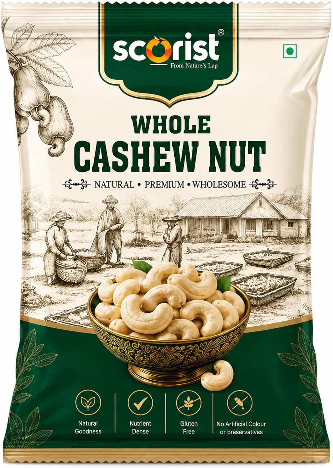 Scorist Popular Whole Cashews